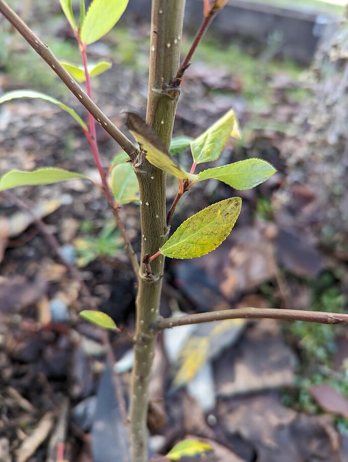 PXL_20231221_202641922