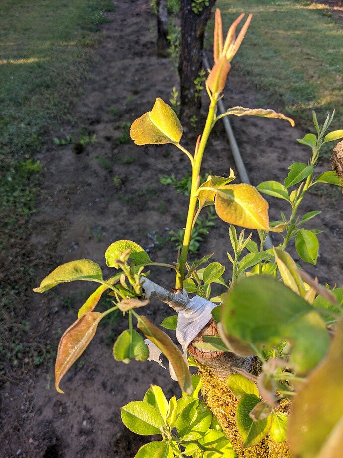 MVIMG_20220627_063625