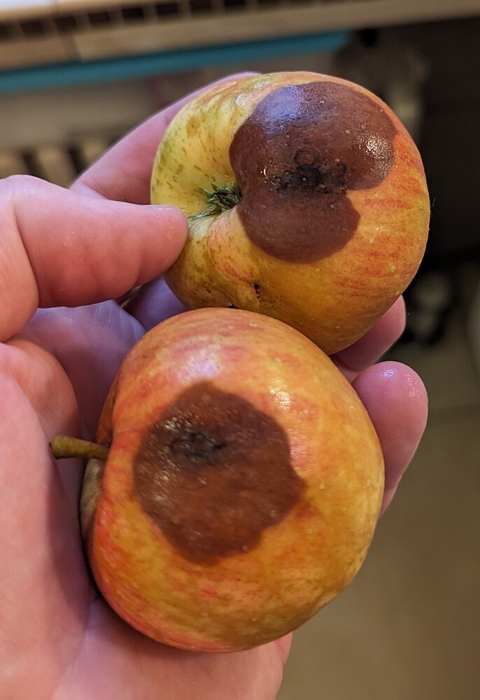 PXL_20230805_233512134~2