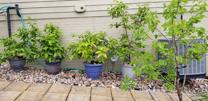 15909309386452409131758525781230