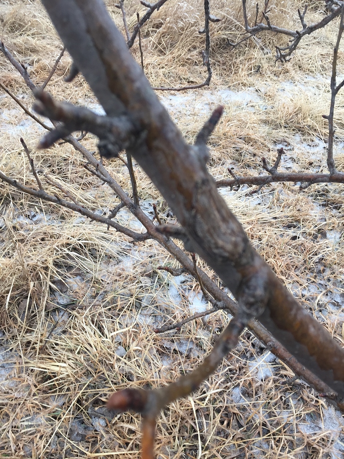 C7BB69B4-D9EB-4972-AEC6-C3666FE135E5