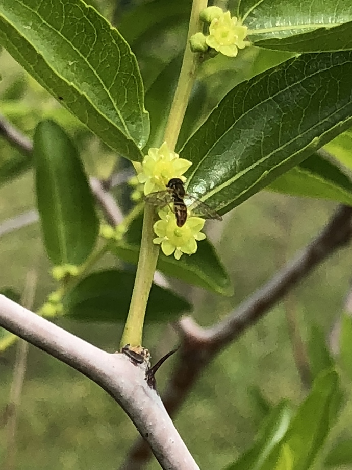 C0838914-8D8D-4C5F-AFF9-CB7405C60914