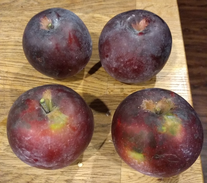 IMG_20201018_215343508