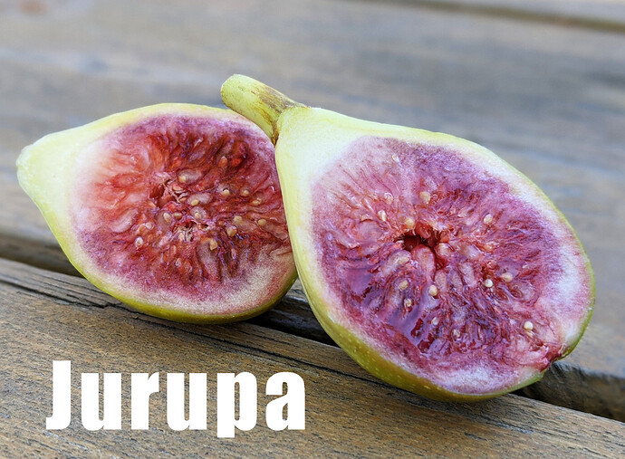 Jurupa1