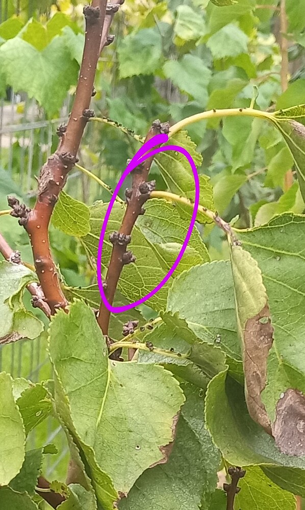 IMG_20230901_082153~3