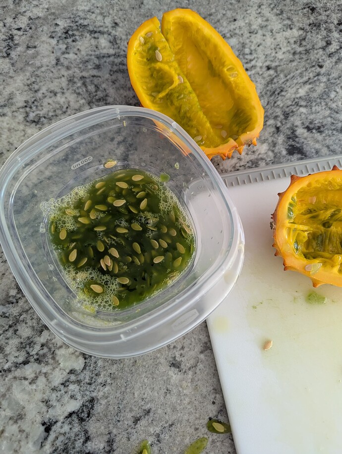 PXL_20250524_131329387