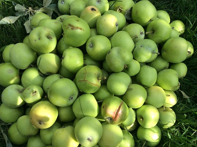 0B5FD693-1BF0-48EE-B19A-CDADE0821BBA