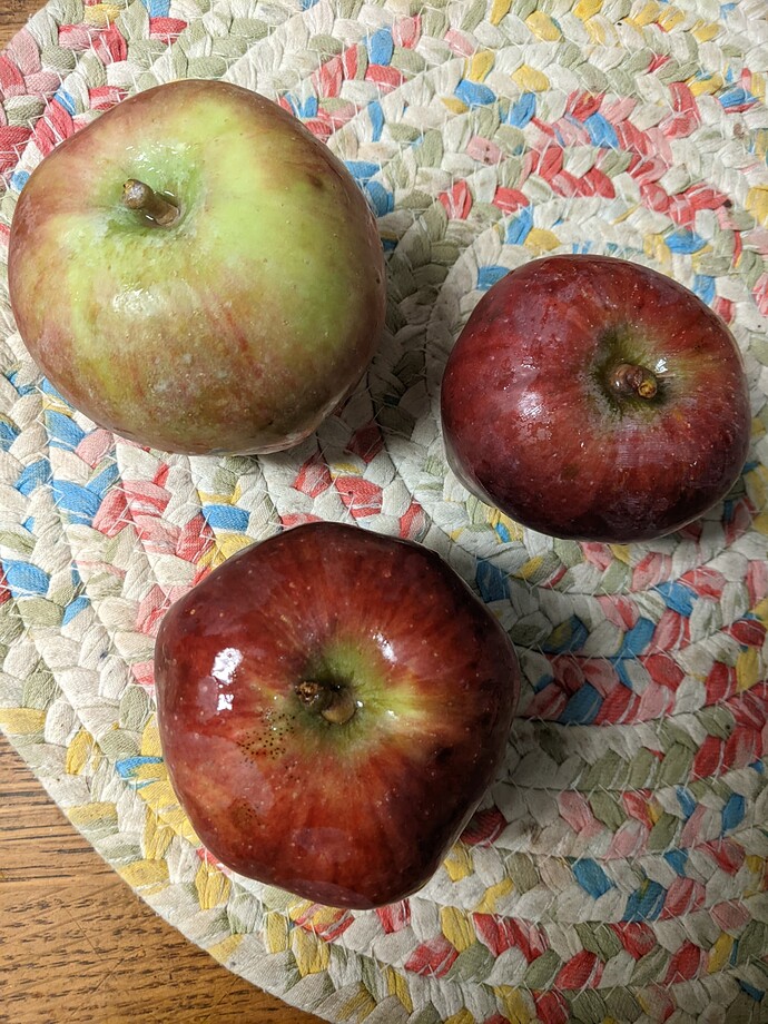 PXL_20230823_003245792.MP