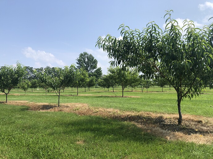 52871499-B61A-4638-ABEF-CC8B9A7817BD