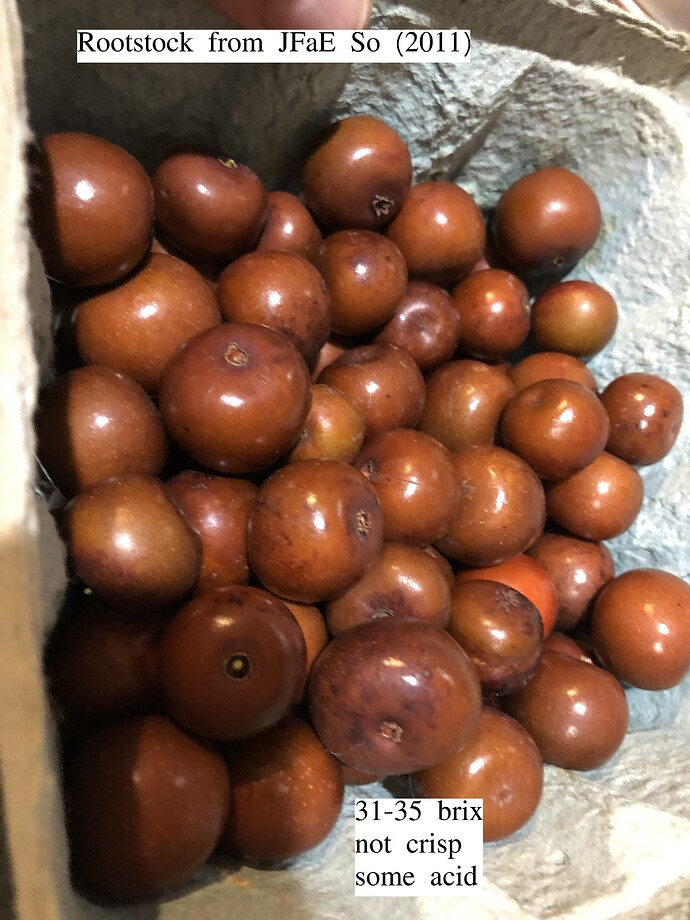 Rootstock_fruit_box_10-24-2021