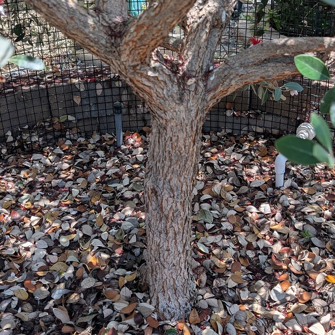 PXL_20250525_183925735