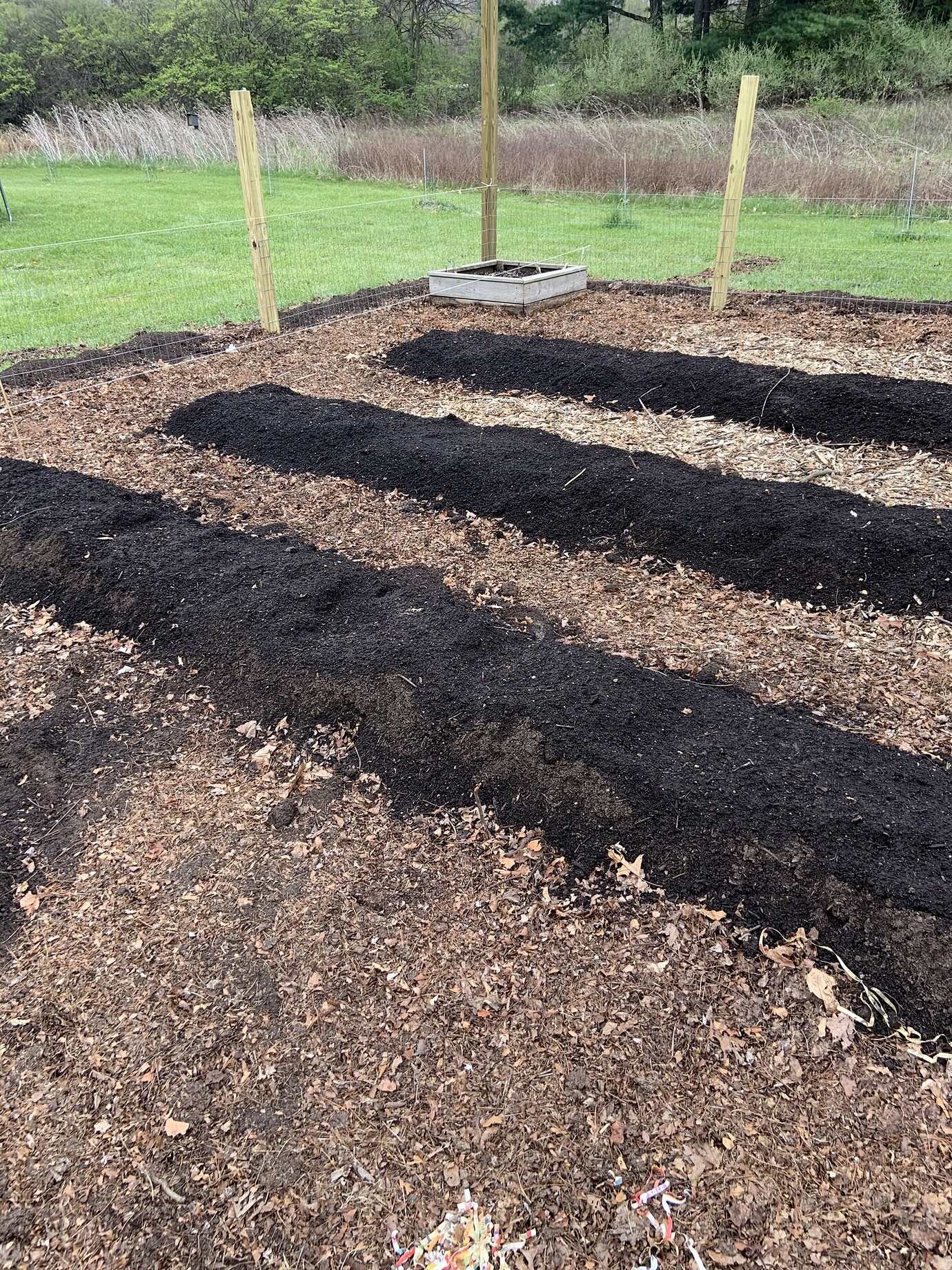 Rolls of cardboard under mulch to kill grass General Fruit Growing