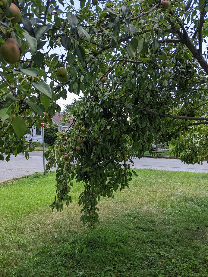 PXL_20220723_181230126.MP