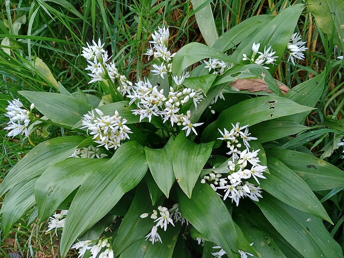 IMG_20240413_105518253_HDR