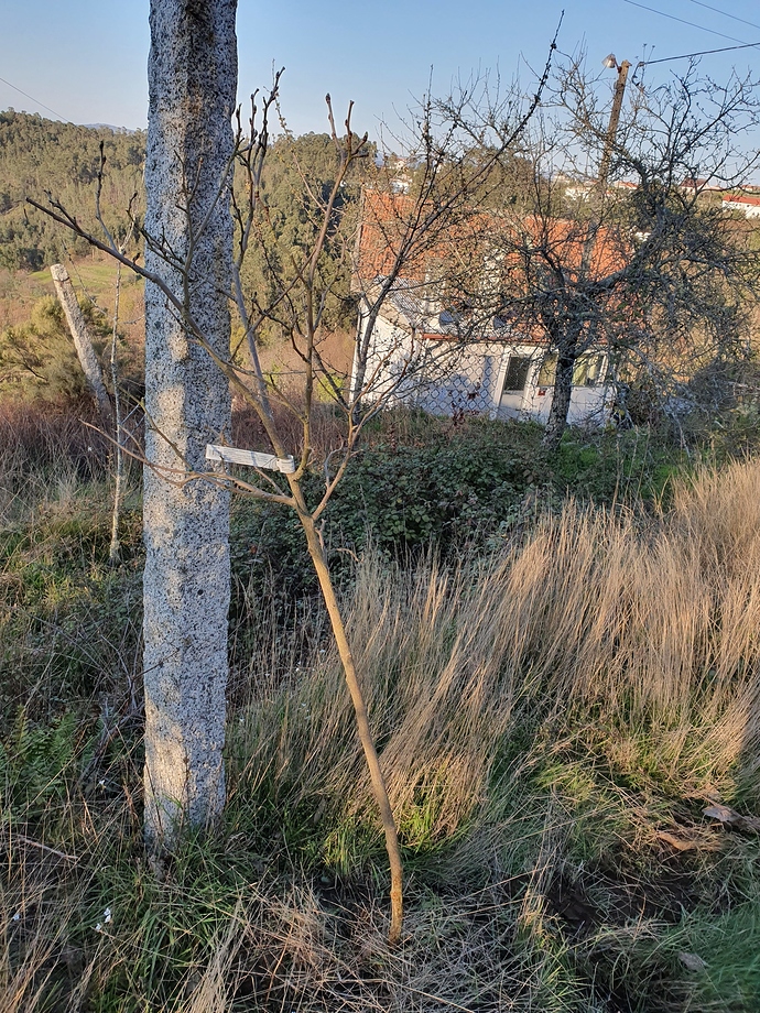 20190321_174338