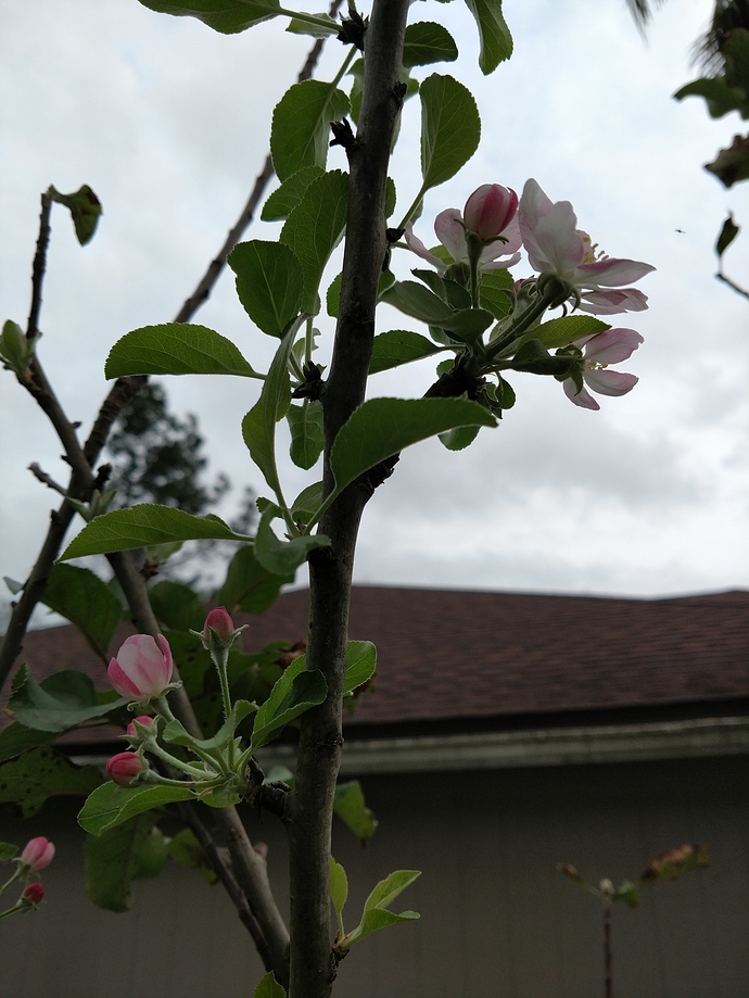 IMG_20180212_172114494