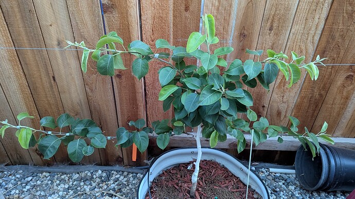 PXL_20250604_032852904