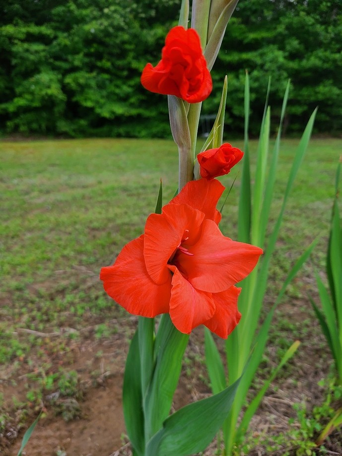 20200623_190758_copy_1209x1612