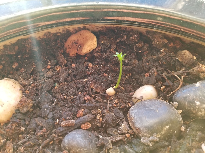 15787823308142850963863557306319