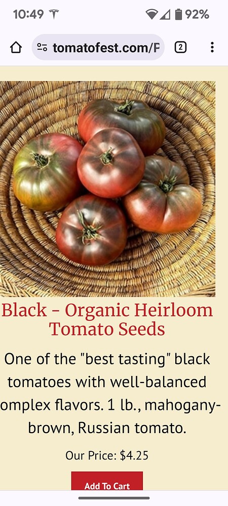 Screenshot_20240728-104951