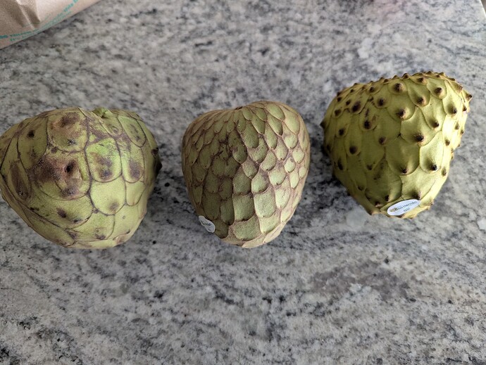 PXL_20250522_220014936