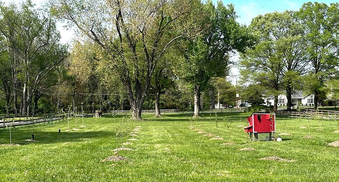 Screen Shot 2025-04-21 at 9.13.14 PM