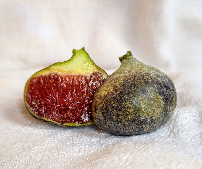 00100lrPORTRAIT_00100_BURST20200329094337007_COVER