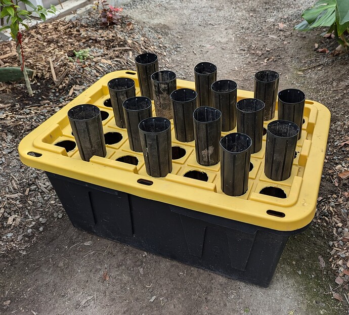 PXL_20240730_001210643