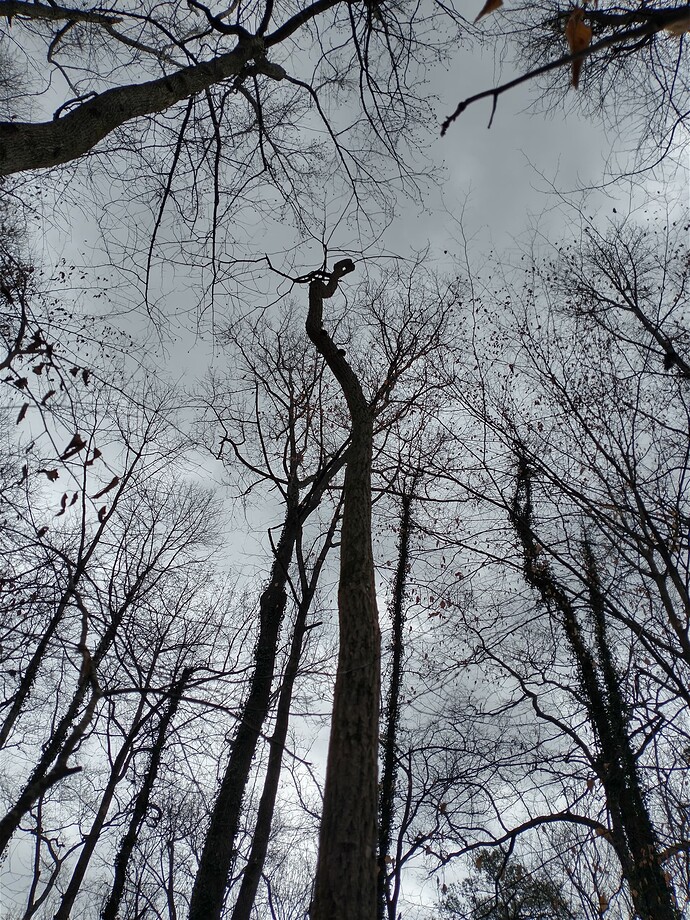 IMG_20240228_102403916_HDR