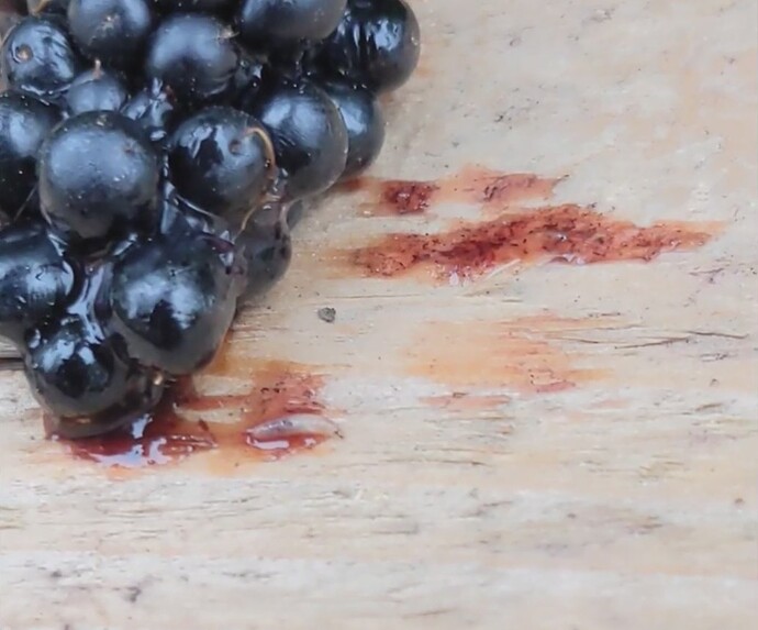 PXL_20220821_150138199_exported_17688