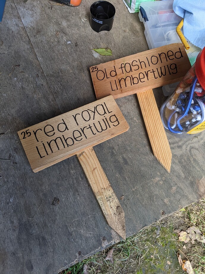 PXL_20221007_195517841