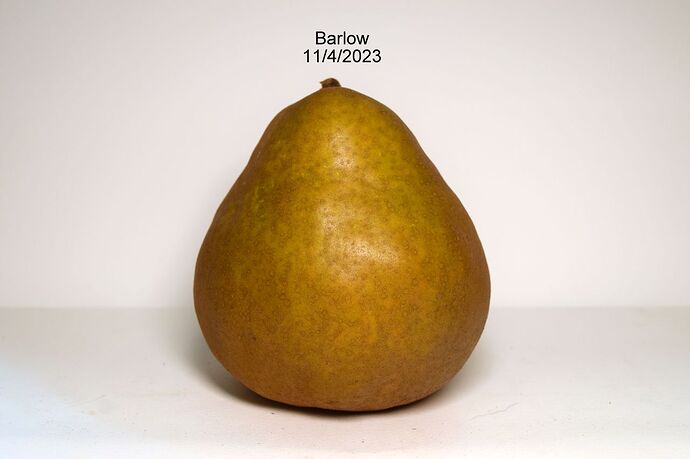 BarlowBRS