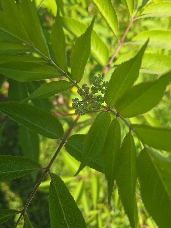 c3ff8aa7-e5ea-4279-8d24-130773af0b6e