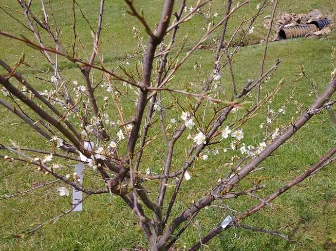 20180331_130539