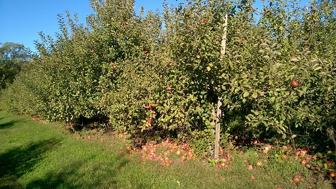 WP_20171022_001