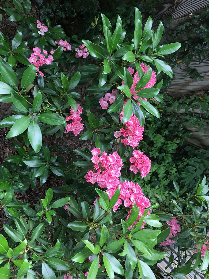 70B97C17-9438-41C1-B921-5DC6FE142A49