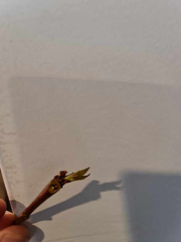 434330277_405129032236027_1506931637709593114_n