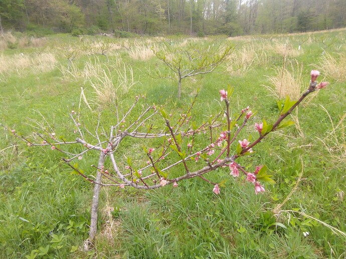 IMG_20250503_125458046