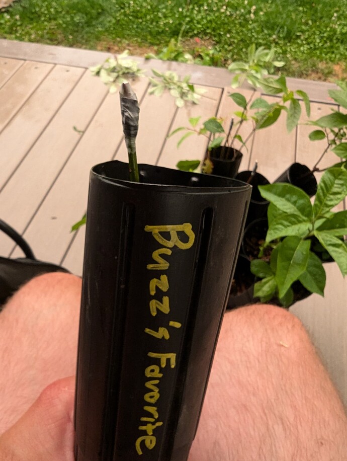 PXL_20240624_005211142.MP