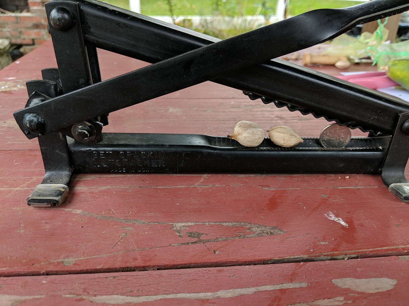 Best Nutcracker for Shagbark Hickory General Fruit Growing Growing