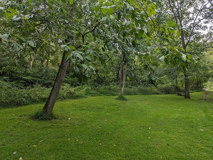 PXL_20230917_204221718