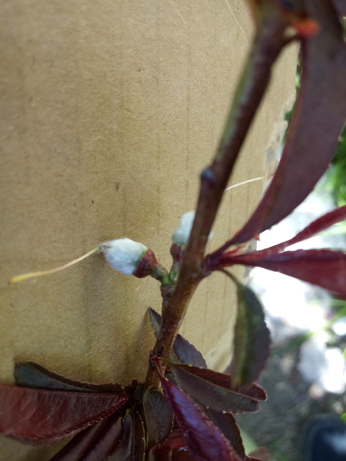 20190402_140901
