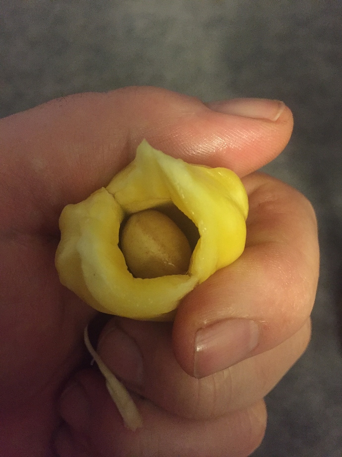 FAFBC9BE-218D-4E76-A6E9-310A1612BCEC