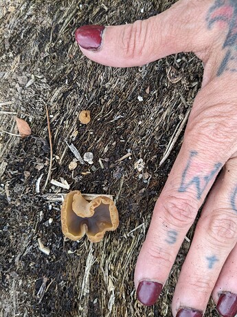 PXL_20241016_214006678