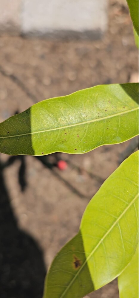 Screenshot_20241018_212653_Gallery