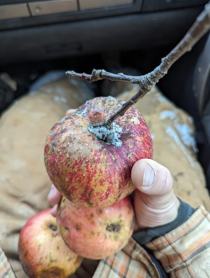 PXL_20231101_145821060