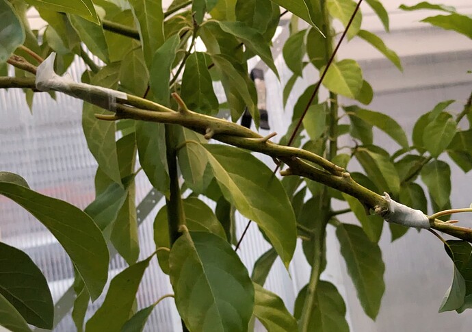 PXL_20240728_034400159