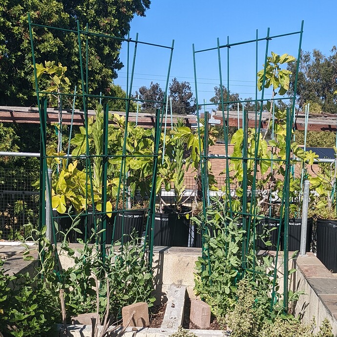 PXL_20220607_235101763