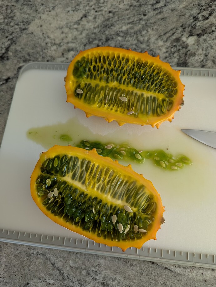 PXL_20250524_125933877