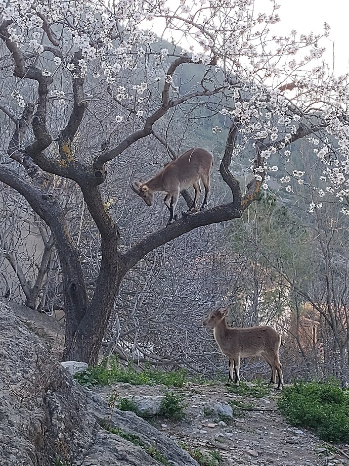 IMG_20250211_171751807